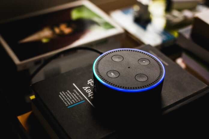 baby shark on alexa