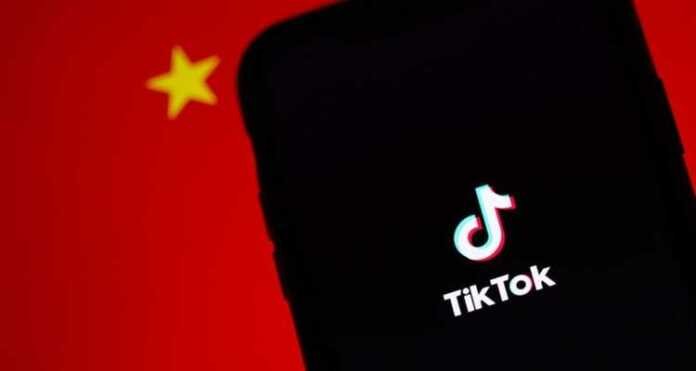 TikTok Ban in India Permanent