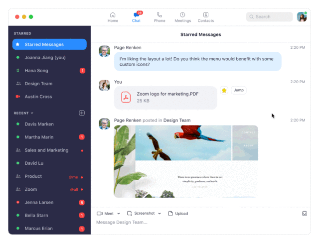 New Zoom Features 2