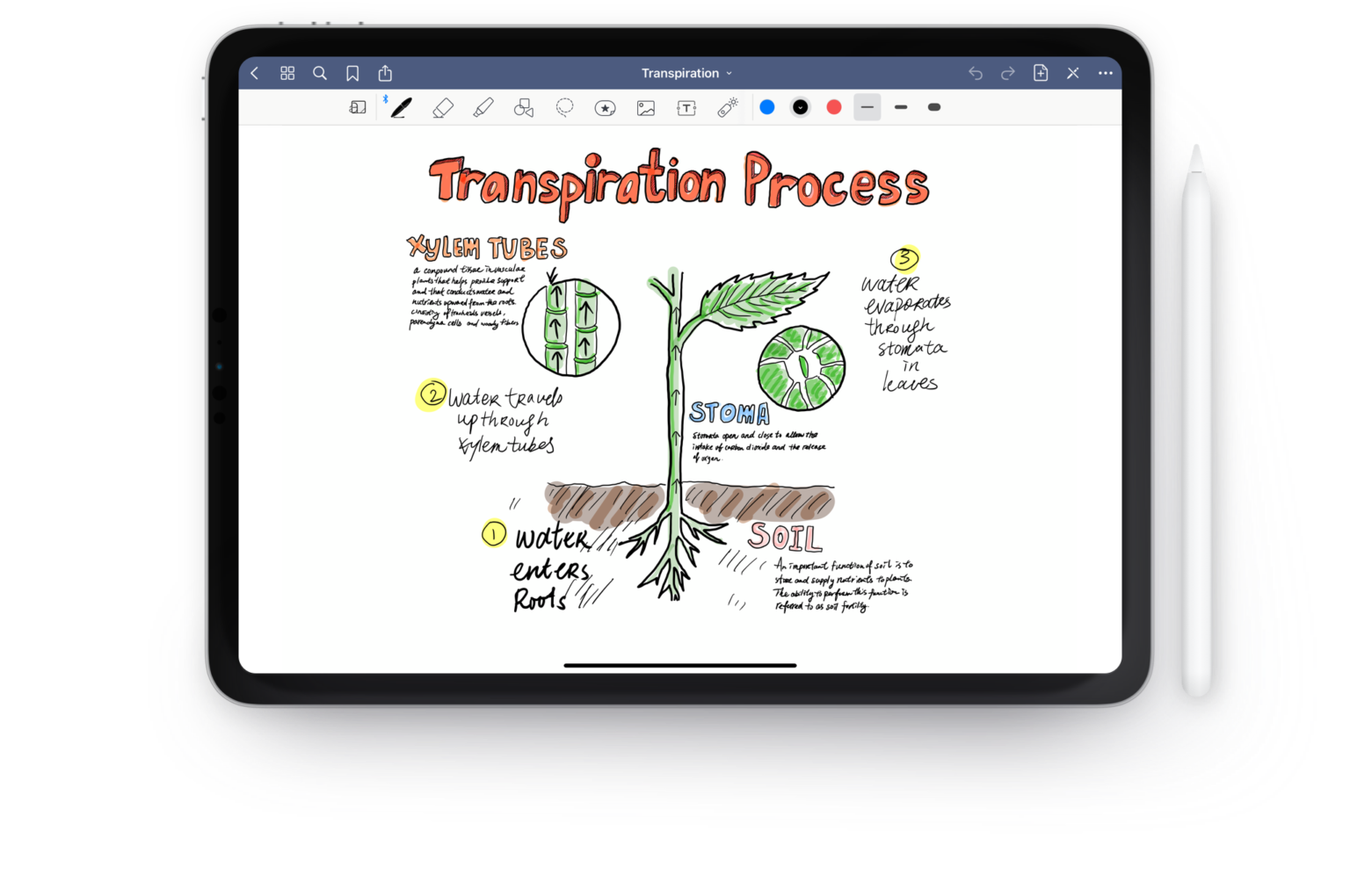 5 Best Note Taking App For IPad In 2021
