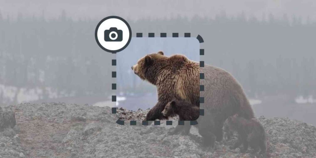 Crop your screenshots on Mac like a Pro!