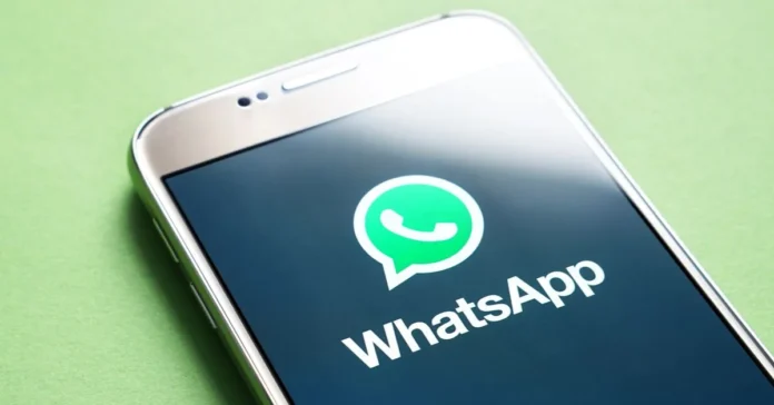 backup WhatsApp data