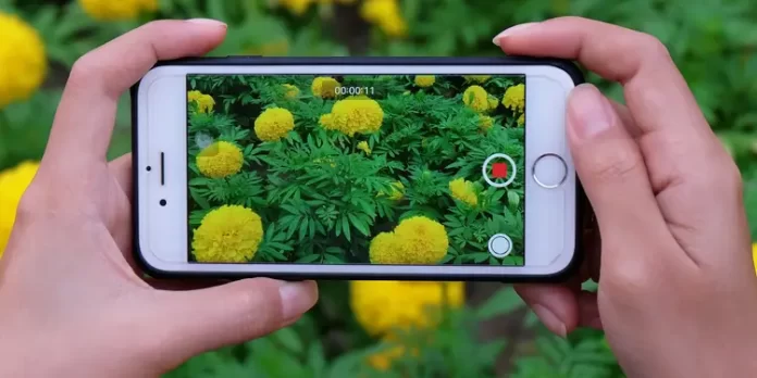 How to Reverse a Video on iPhone without an App