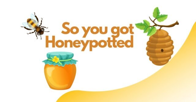 Rugdoc Honeypot Token Checker