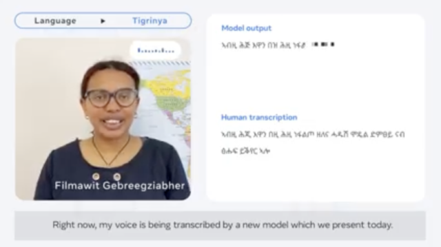 Meta multilingual translation model