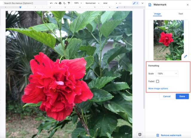 how to add a background in google docs 5
