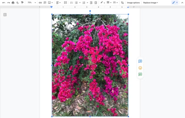 how to add a background in google docs 8
 